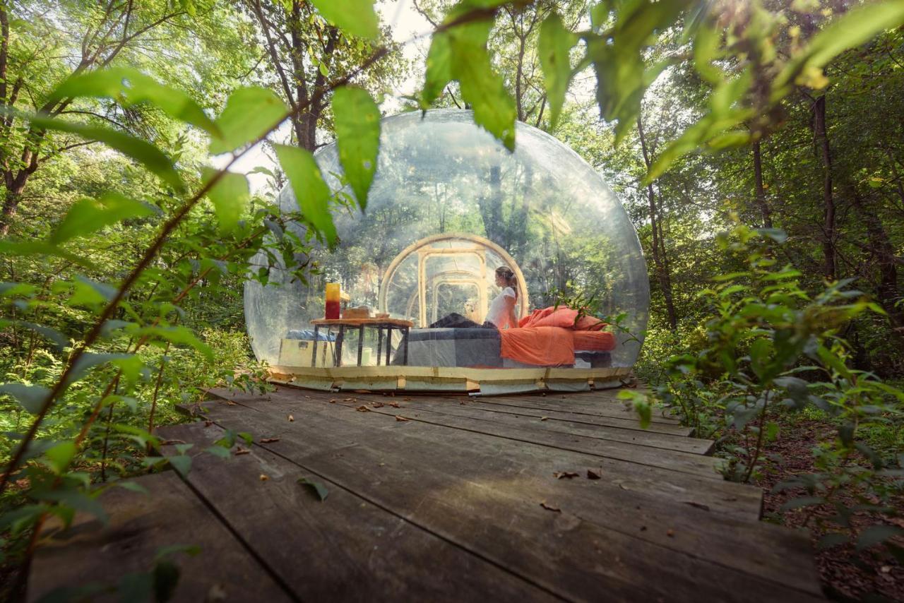 Sala Biellese Camping Future Is Nature Playground מראה חיצוני תמונה